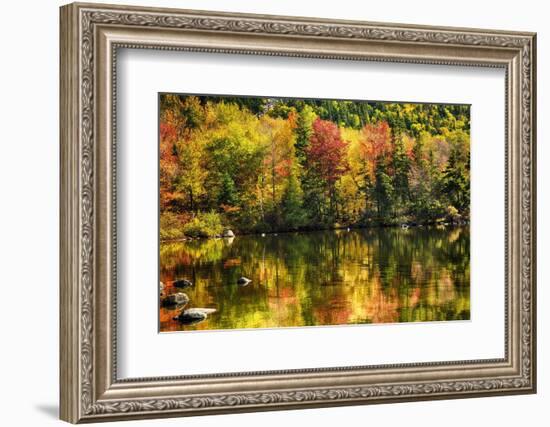 Colorful Foliage Reflection in a Tranquil Lake-George Oze-Framed Photographic Print