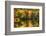 Colorful Foliage Reflection in a Tranquil Lake-George Oze-Framed Photographic Print