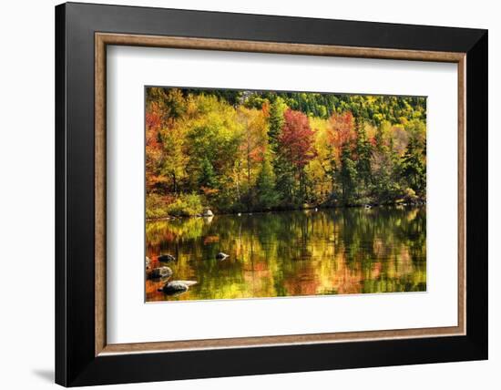 Colorful Foliage Reflection in a Tranquil Lake-George Oze-Framed Photographic Print