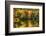 Colorful Foliage Reflection in a Tranquil Lake-George Oze-Framed Photographic Print