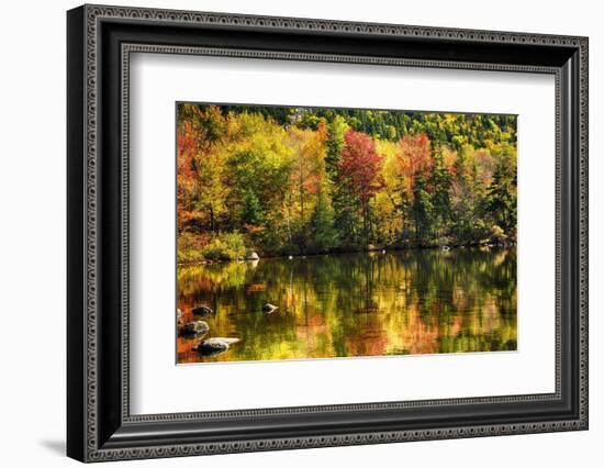 Colorful Foliage Reflection in a Tranquil Lake-George Oze-Framed Photographic Print