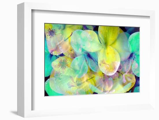 Colorful Fresh Modern Romantic Floral Montage of Orchids-Alaya Gadeh-Framed Photographic Print