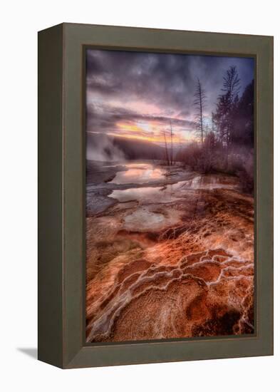 Colorful Geo Thermal Morning, Mammoth Hot Springs-Vincent James-Framed Premier Image Canvas