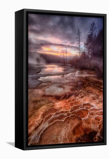 Colorful Geo Thermal Morning, Mammoth Hot Springs-Vincent James-Framed Premier Image Canvas