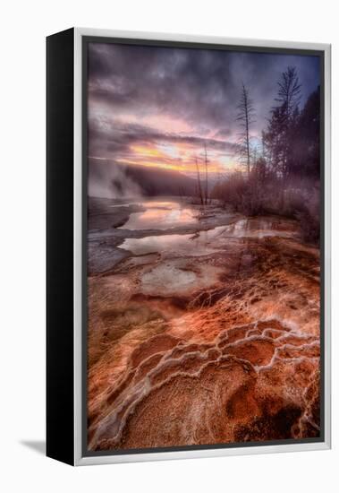 Colorful Geo Thermal Morning, Mammoth Hot Springs-Vincent James-Framed Premier Image Canvas