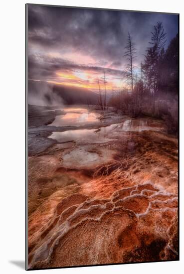 Colorful Geo Thermal Morning, Mammoth Hot Springs-Vincent James-Mounted Photographic Print