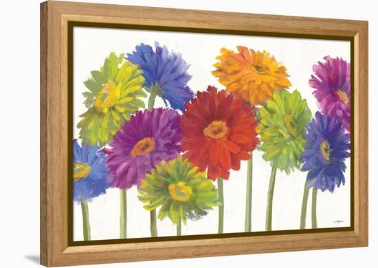 Colorful Gerbera Daisies-Carol Rowan-Framed Stretched Canvas