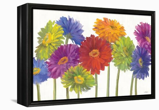 Colorful Gerbera Daisies-Carol Rowan-Framed Stretched Canvas