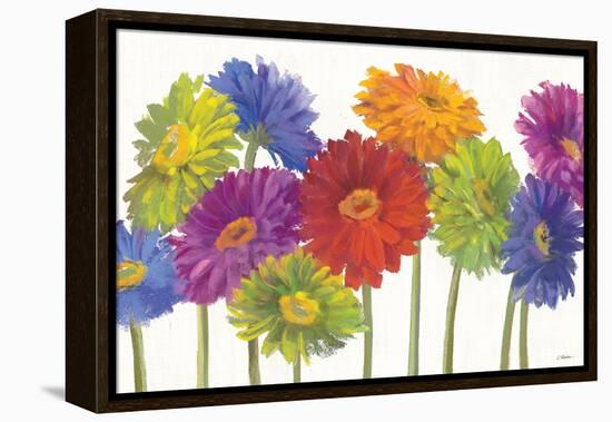 Colorful Gerbera Daisies-Carol Rowan-Framed Stretched Canvas