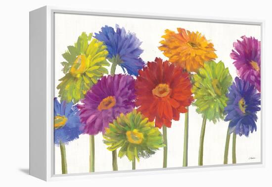 Colorful Gerbera Daisies-Carol Rowan-Framed Stretched Canvas