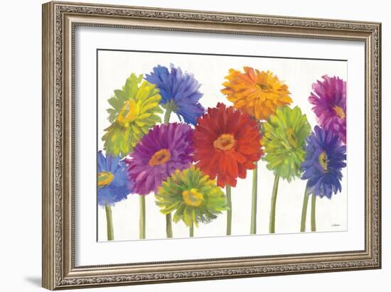 Colorful Gerbera Daisies-Carol Rowan-Framed Premium Giclee Print