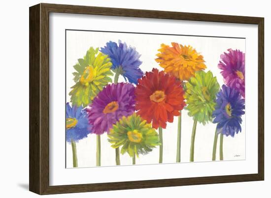 Colorful Gerbera Daisies-Carol Rowan-Framed Premium Giclee Print
