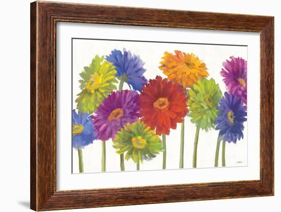 Colorful Gerbera Daisies-Carol Rowan-Framed Premium Giclee Print