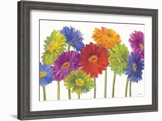 Colorful Gerbera Daisies-Carol Rowan-Framed Art Print