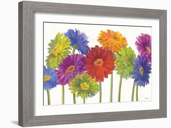 Colorful Gerbera Daisies-Carol Rowan-Framed Art Print