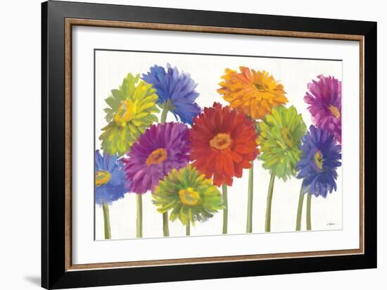 Colorful Gerbera Daisies-Carol Rowan-Framed Art Print