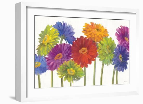 Colorful Gerbera Daisies-Carol Rowan-Framed Art Print