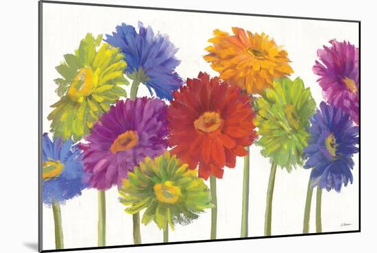 Colorful Gerbera Daisies-Carol Rowan-Mounted Art Print