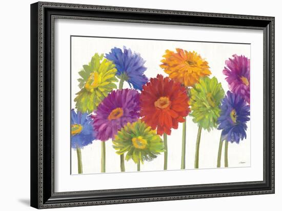 Colorful Gerbera Daisies-Carol Rowan-Framed Art Print