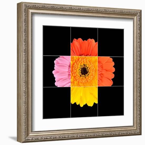 Colorful Gerbera Marigold Flower Mosaic Design-tr3gi-Framed Art Print