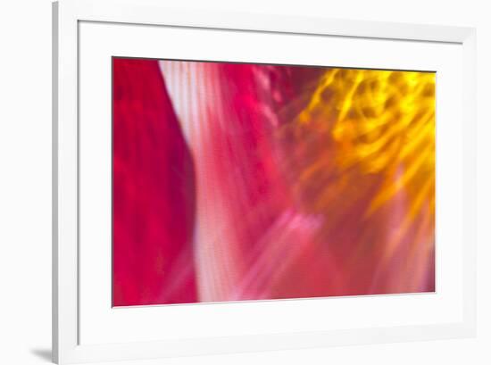 Colorful glass with blurred motion effect.-Stuart Westmorland-Framed Premium Photographic Print