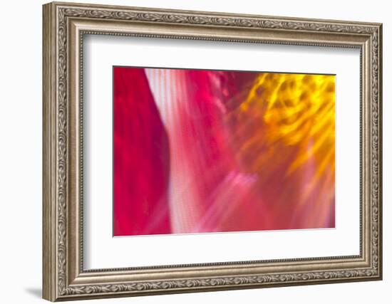 Colorful glass with blurred motion effect.-Stuart Westmorland-Framed Photographic Print