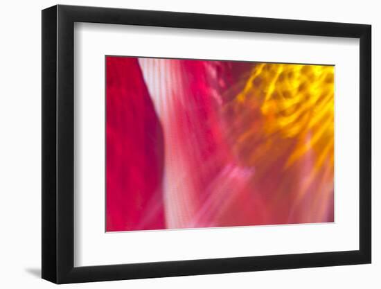 Colorful glass with blurred motion effect.-Stuart Westmorland-Framed Photographic Print