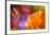 Colorful glass with blurred motion effect.-Stuart Westmorland-Framed Photographic Print