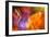 Colorful glass with blurred motion effect.-Stuart Westmorland-Framed Photographic Print