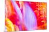 Colorful glass with blurred motion effect.-Stuart Westmorland-Mounted Photographic Print