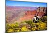 Colorful Grand Canyon-Jeni Foto-Mounted Photographic Print