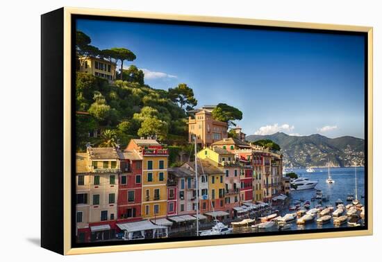 Colorful Harbor Houses in Portofino, Liguria, Italy-George Oze-Framed Premier Image Canvas