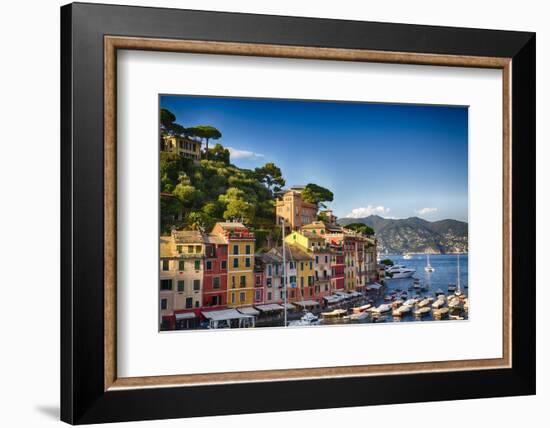 Colorful Harbor Houses in Portofino, Liguria, Italy-George Oze-Framed Photographic Print