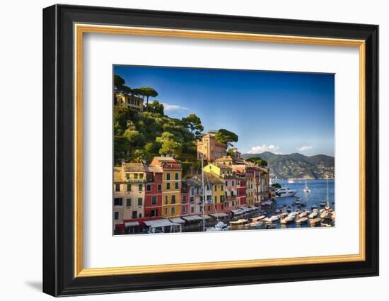 Colorful Harbor Houses in Portofino, Liguria, Italy-George Oze-Framed Photographic Print