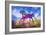 Colorful Horse-Ata Alishahi-Framed Giclee Print