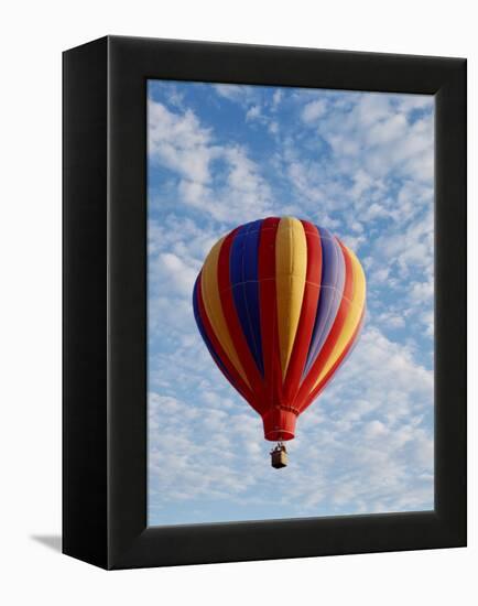Colorful Hot Air Balloon in Sky, Albuquerque, New Mexico, USA-null-Framed Premier Image Canvas