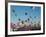 Colorful Hot Air Balloons, Albuquerque Balloon Fiesta, Albuquerque, New Mexico, USA-null-Framed Photographic Print