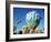 Colorful Hot Air Balloons, Albuquerque Balloon Fiesta, Albuquerque, New Mexico, USA-null-Framed Photographic Print