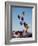 Colorful Hot Air Balloons, Albuquerque Balloon Fiesta, Albuquerque, New Mexico, USA-null-Framed Photographic Print