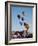 Colorful Hot Air Balloons, Albuquerque Balloon Fiesta, Albuquerque, New Mexico, USA-null-Framed Photographic Print