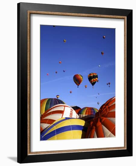 Colorful Hot Air Balloons, Albuquerque, NM-Bill Bachmann-Framed Photographic Print