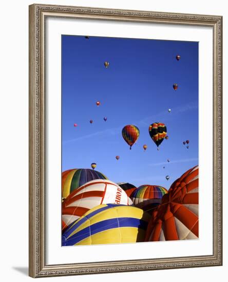 Colorful Hot Air Balloons, Albuquerque, NM-Bill Bachmann-Framed Photographic Print