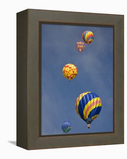 Colorful Hot Air Balloons Decorate the Morning Sky, Colorado Springs, Colorado, USA-Don Grall-Framed Premier Image Canvas