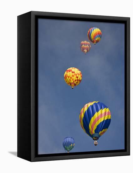 Colorful Hot Air Balloons Decorate the Morning Sky, Colorado Springs, Colorado, USA-Don Grall-Framed Premier Image Canvas