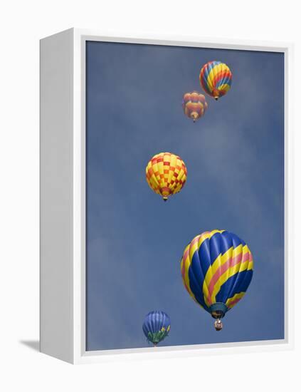 Colorful Hot Air Balloons Decorate the Morning Sky, Colorado Springs, Colorado, USA-Don Grall-Framed Premier Image Canvas