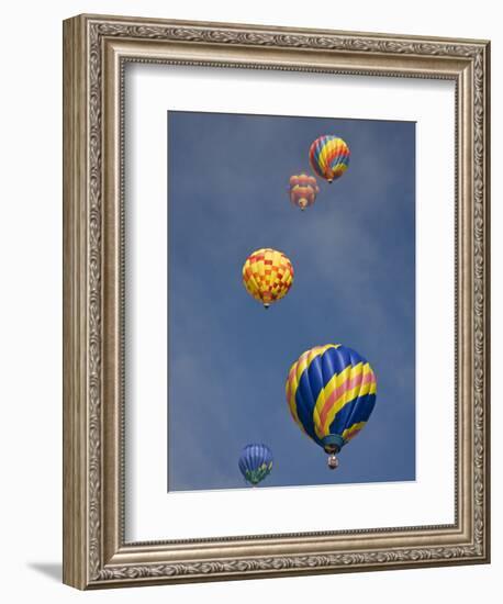 Colorful Hot Air Balloons Decorate the Morning Sky, Colorado Springs, Colorado, USA-Don Grall-Framed Photographic Print