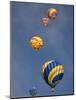 Colorful Hot Air Balloons Decorate the Morning Sky, Colorado Springs, Colorado, USA-Don Grall-Mounted Photographic Print