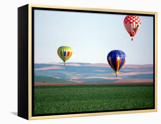 Colorful Hot Air Balloons Float over a Wheat Field in Walla Walla, Washington, USA-William Sutton-Framed Premier Image Canvas