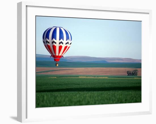 Colorful Hot Air Balloons Float over a Wheat Field in Walla Walla, Washington, USA-William Sutton-Framed Photographic Print