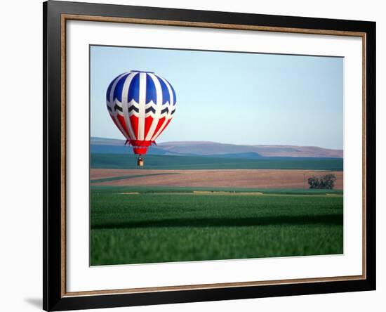 Colorful Hot Air Balloons Float over a Wheat Field in Walla Walla, Washington, USA-William Sutton-Framed Photographic Print